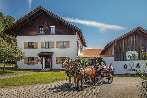 Pferdekutschfahrt in Bayern